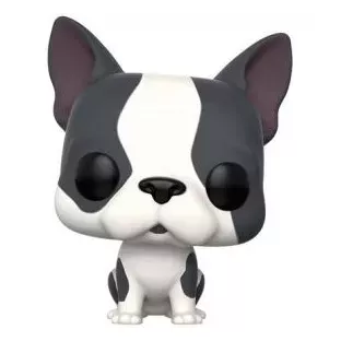 French Bulldog image