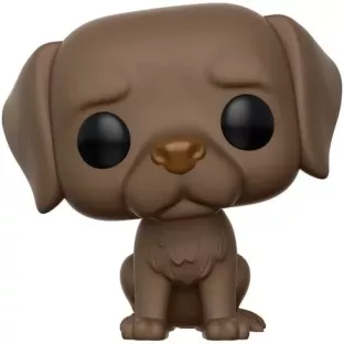 Labrador Retriever image