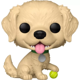 Golden Retriever image