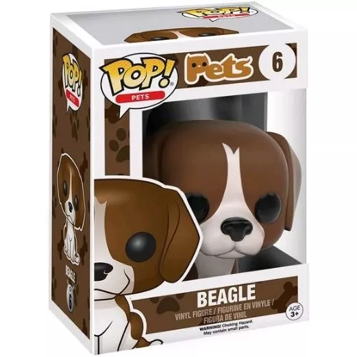Beagle Box