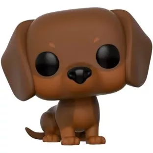 Dachshund