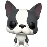 #09  French Bulldog - Collectible Figure