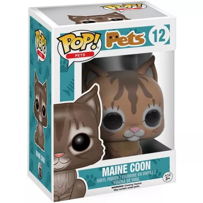 Maine Coon Box