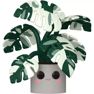 Monstera