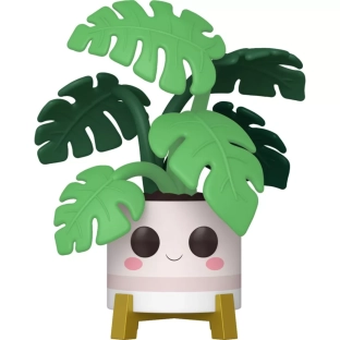 Monstera image