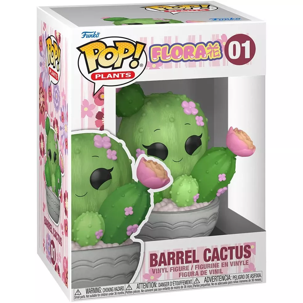 Barrel Cactus Box