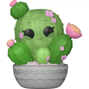 Barrel Cactus