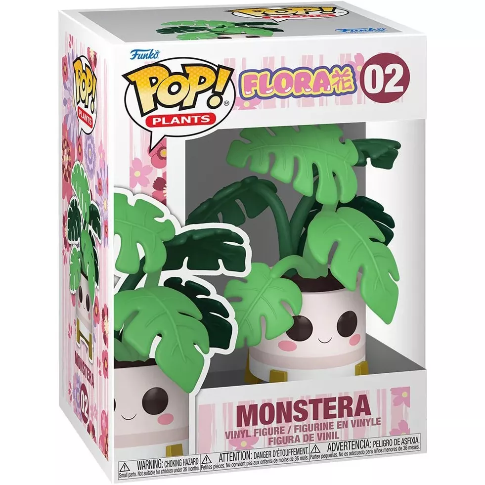 Monstera Box