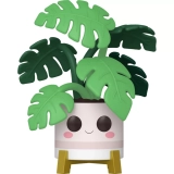 Monstera