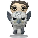 Harry Potter and Buckbeak image