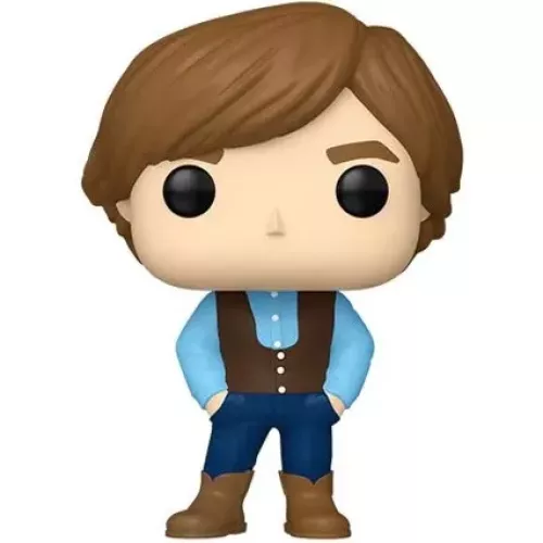 Funko Pop! Al Jardine 5 Pack The Beach Boys Rocks Vinyl Figure