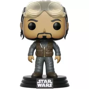 Bodhi