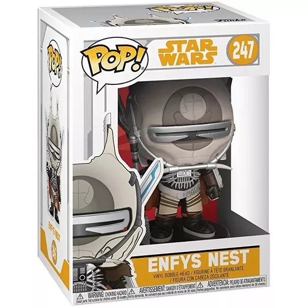 Enfys Nest Box