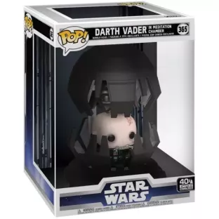 Darth Vader in Meditation Chamber