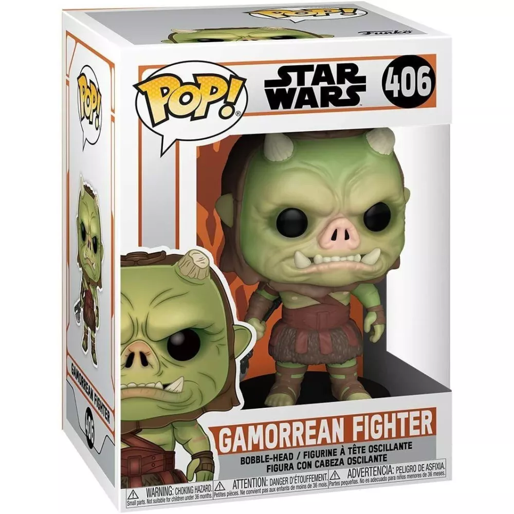 Gamorrean Fighter Box