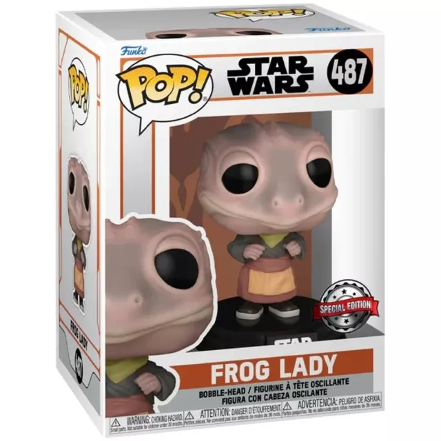 Frog Lady Box