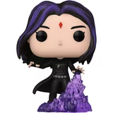 Raven image