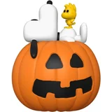Snoopy & Woodstock with Pumpkin