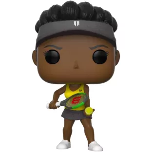 Venus Williams image