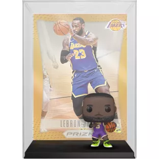 LeBron James image