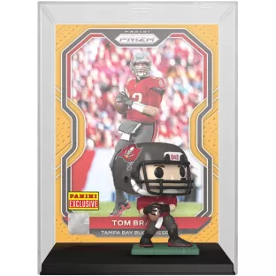 Tom Brady image