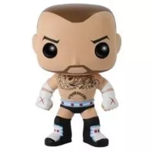 CM Punk image