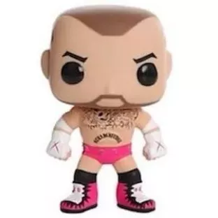 CM Punk image