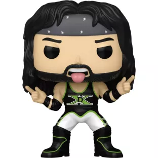 X-Pac image
