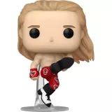 Shawn Michaels