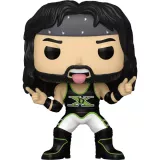 X-Pac