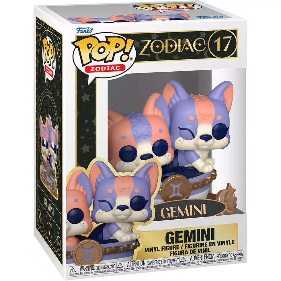 Gemini Box