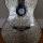 https://pops.today/usersc/plugins/profile_pic/files/2148-2025-02-20-67b6a808a8248_40px.jpg
