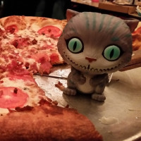 MadderKat picture