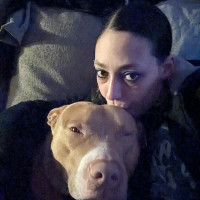 User Profile: BadWolf
